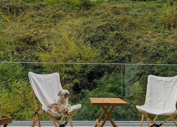 Calme Et Lumineux Au Cœur De Carteret Appartement Barneville-Carteret